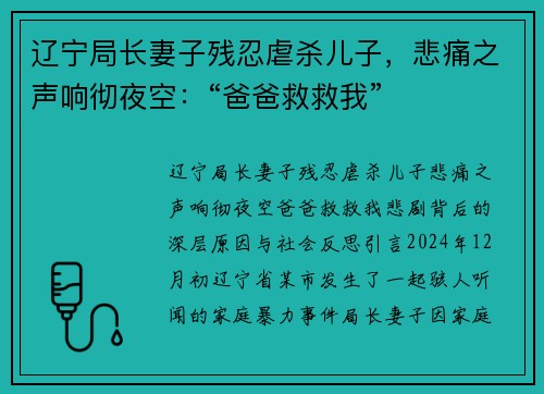 辽宁局长妻子残忍虐杀儿子，悲痛之声响彻夜空：“爸爸救救我”